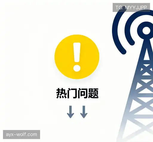 解答指南